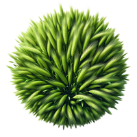 An artistic image of a circular arrangement of barley