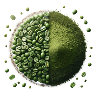 Green coffee beans and green tea extract powder in a circle shape with each taking up half of the circle. 