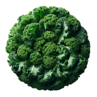 A artistic circular arrangement of kale leaves. 